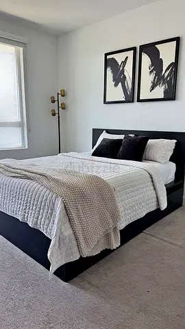 Ikea Queen Black Malm bed frame including Ikea Queen mattress