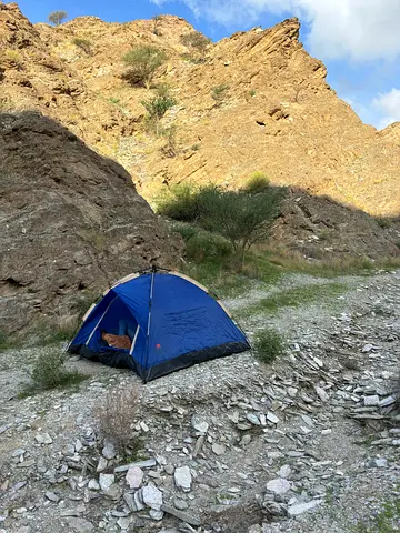 4 Person Camping Tent with Carry Bag