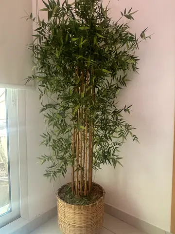 Beautifl artificial bamboo plant inncluding boho basket - good condition