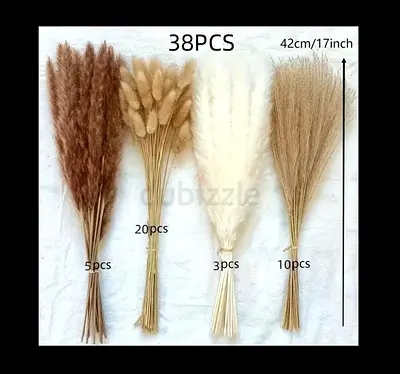 dried pampas grass bouquet featuring natural brown and white colors