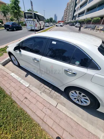 2021 Toyota Corolla GLI - Low Mileage - Korean Specs - Excellent Condition