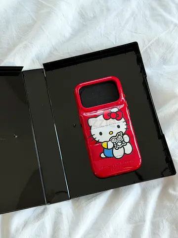 Urban sophistication Japan limited edition 17 pro case