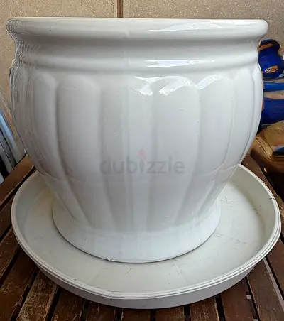 Large white ceramic plant pot with saucer