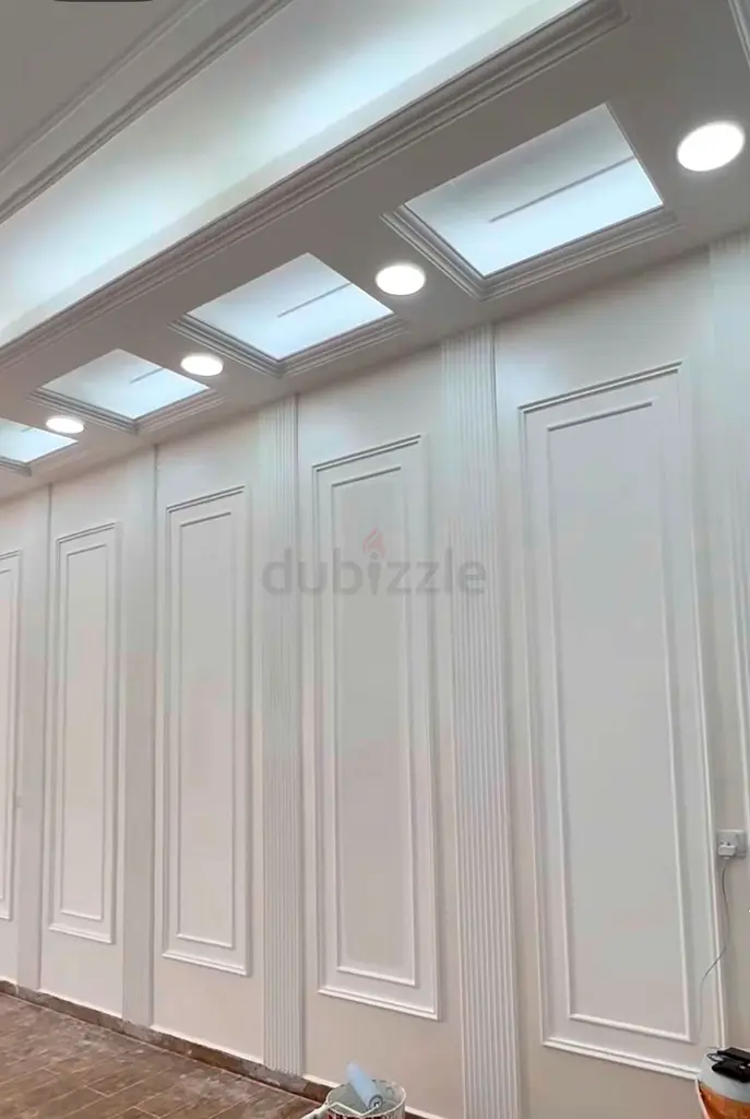 DPV_View_Image_7