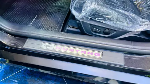2024 FORD MUSTANG 缩略图 14