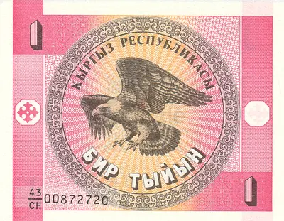 KYRGYZSTAN 1 TYIYN BANKNOTE 1993
