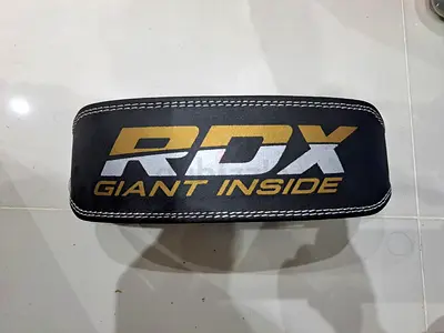 Exercise belt for the back