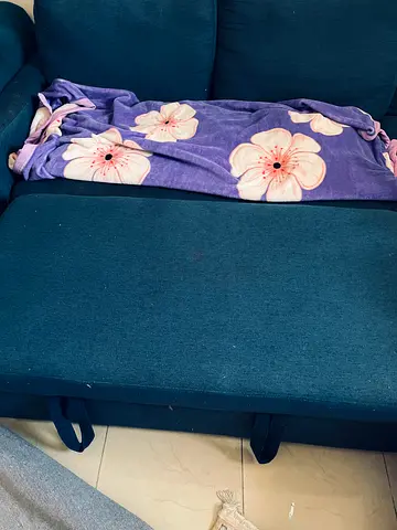 Sofa cum bed