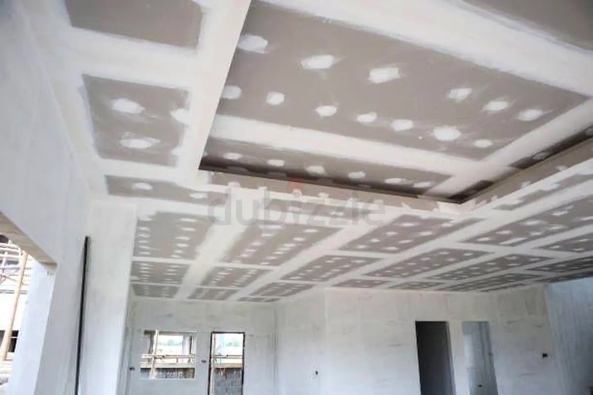 DPV_View_Image_1