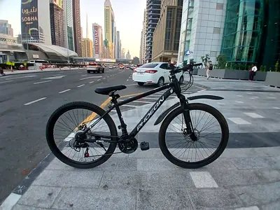Used Phoenix Mountain Bike - Good Condition, Ready to Ride