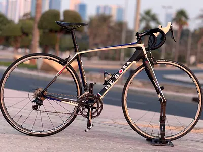D Rosa carbon bike