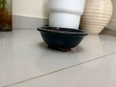 Small Ceramic Bonsai Pot