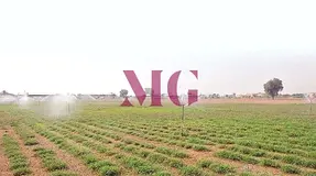 Prime Farm Land | Second Plot from Main Road | Excellent Investment Opportunity
