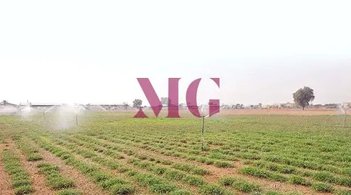 Prime Farm Land | Second Plot from Main Road | Excellent Investment Opportunity