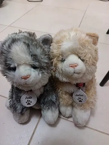 Pair of Soft Plush Cat Stuffed Toys - Jade  Amber