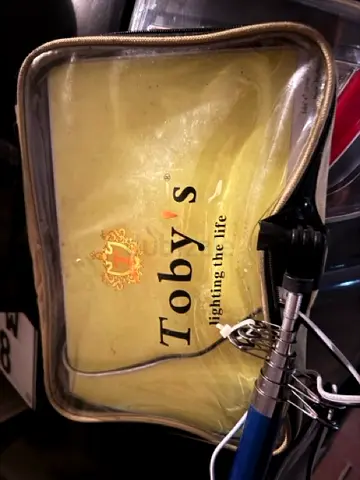 Tobys 12V 8,0000 W (8K) Camping light Picnic light With the stick