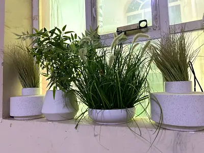 Set of 4 Decorative Artificial Potted Plants