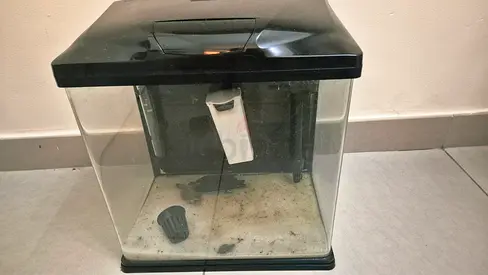 Small used fish aquarium with hood and filter