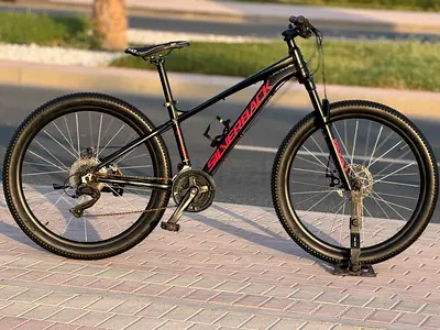 Silverback/27.5 mtb