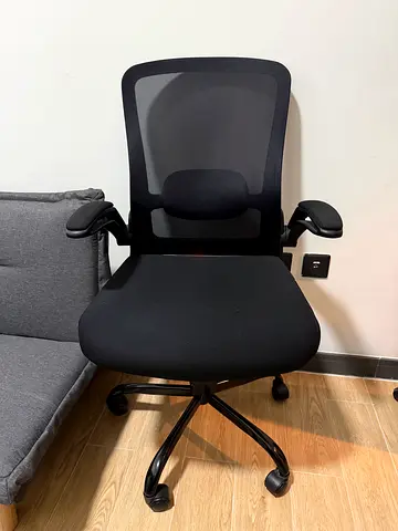 Office Chair (rolls might need change)