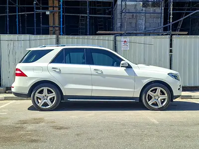 2014 Mercedes-BENZ M-CLASS 照片 4