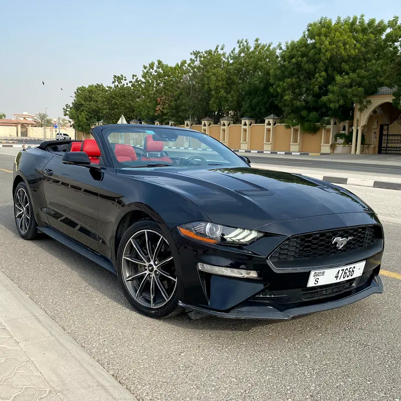 Ford Mustang 2019 — photo 1 of 10