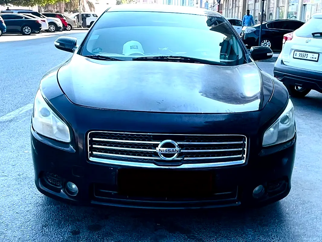 Nissan Maxima 2010 — photo 1 of 5