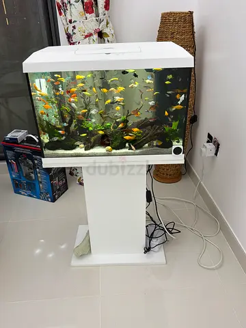 Juwel(German) Aquarium for Sale