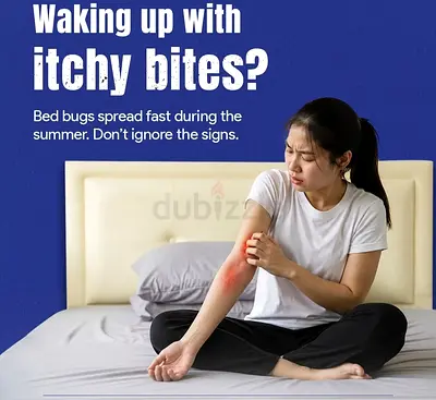 Tiny bites today can turn into a bigger infestation tomorrow bedbugs hide deep in mattress furniture