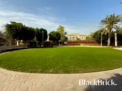 Family Friendly | Great Plot | Extended BUA