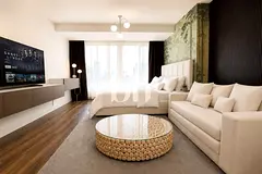 Large Studio | Furnished | Upgraded | SZR View