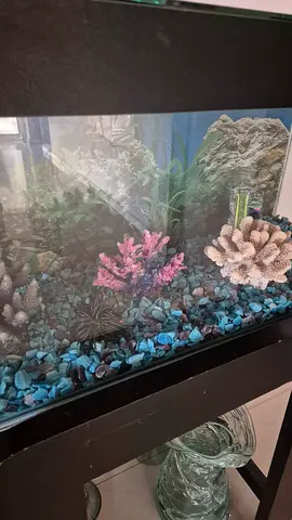 Aquarium with stand