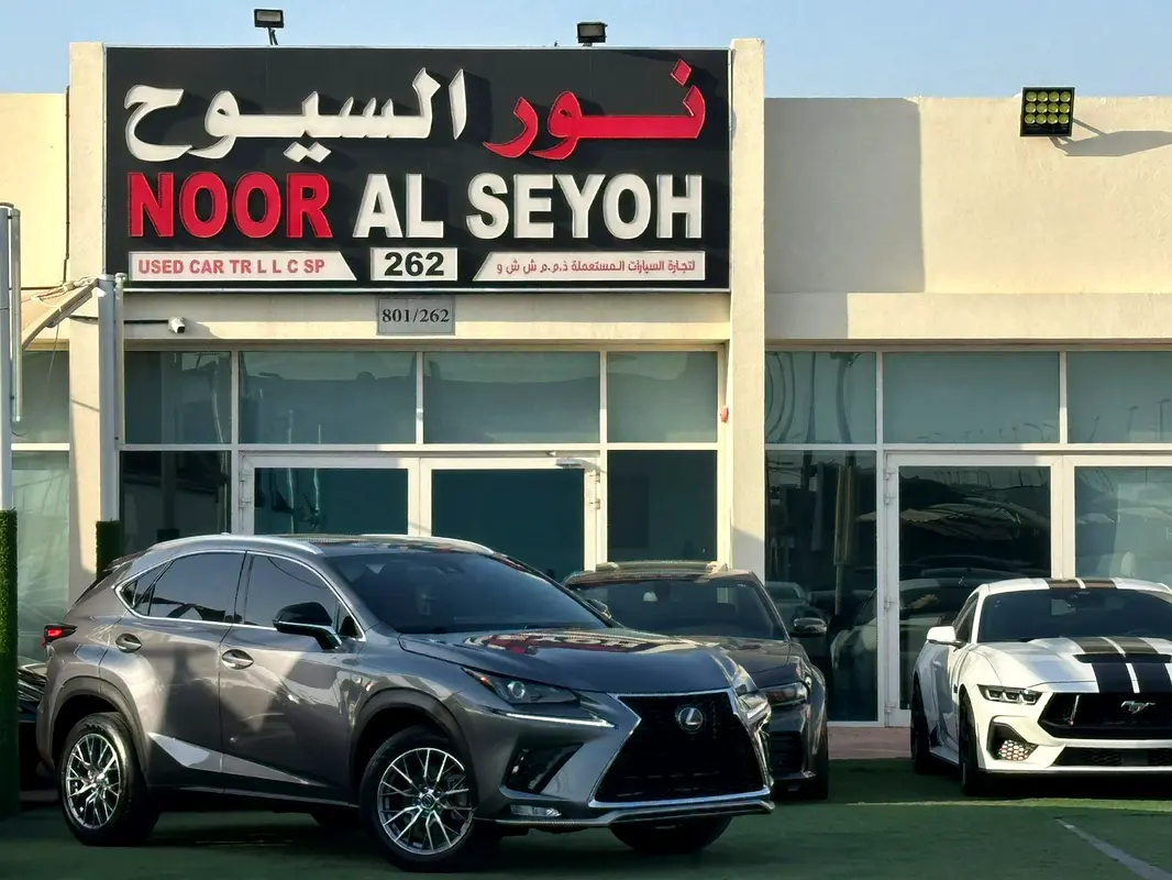 Lexus NX-Series 2020 — photo 1 of 13