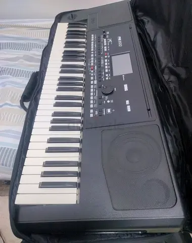 Korg pa300 Professional Arranger