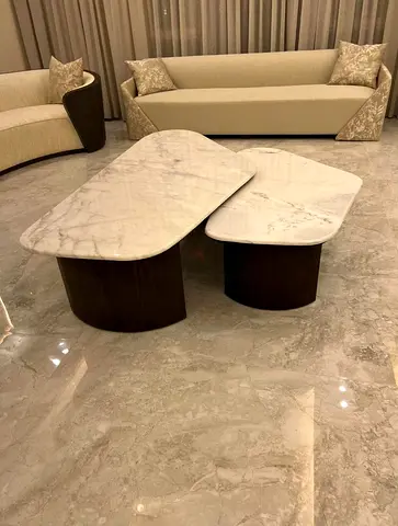 Premium Marble coffee Table with Contemporary Pedestal Base Design