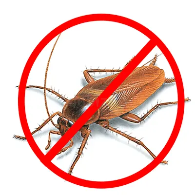 Pest control