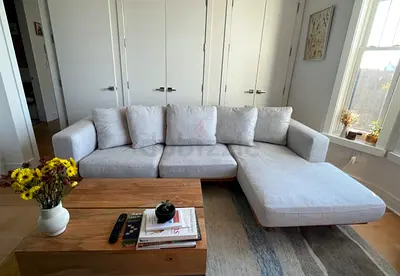 West elm Newport feather 🪶 filled L shape sofa