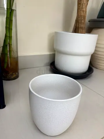 Ceramic Plant Pot