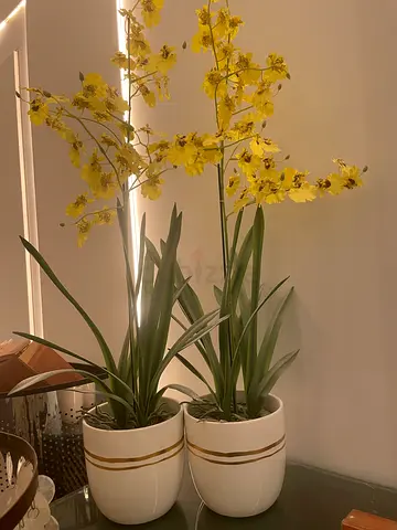 Pair of decorative potted artificial plants with yellow flowers
