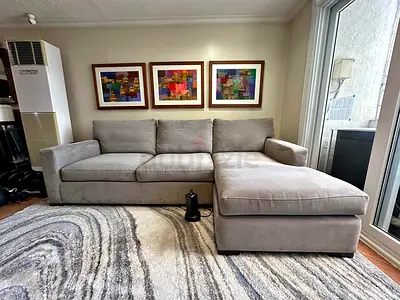 Sectional feather filled lshape sofa