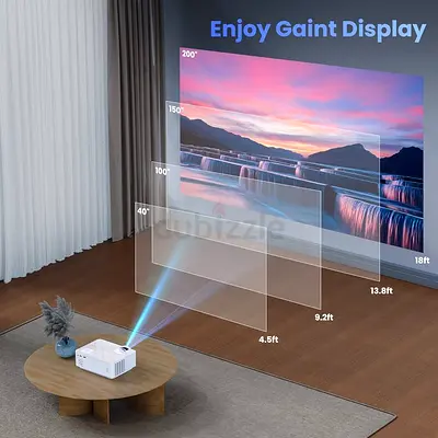 Projector
