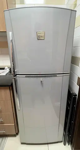 Refrigerator Double Door Toshiba Hybrid Plasma
