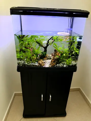 60L Glass Aquarium with Cabinet - plants not included
