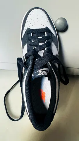 Brand new nike dunk low gs georgetown