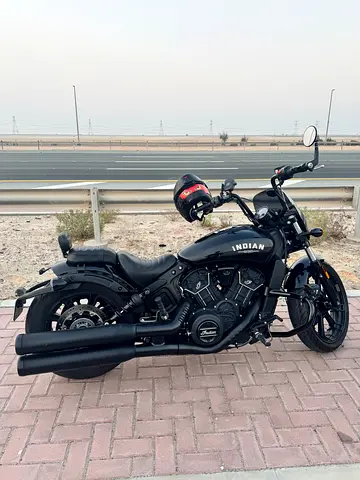 Indian Scout Rogue