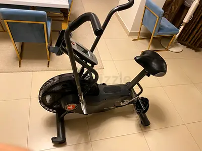 Schwinn Airdyne AD6i Cycling Bike
