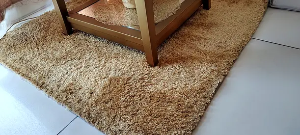 Set of 2 Golden Carpets