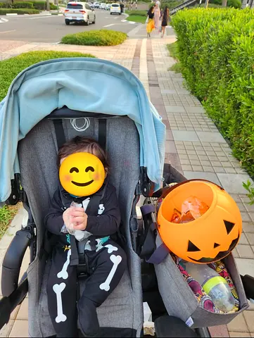 Boogaboo Donkey Stroller