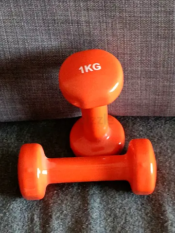 Dumb bells 1kg pair