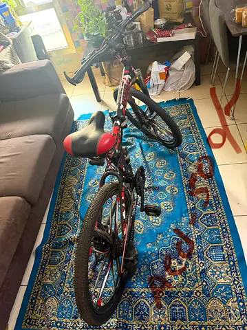 Used 20-inch Kids/Teen Mountain Bike - Good Condition, foldable, gear etc